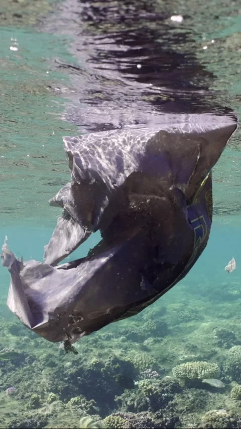 Close-up of the old plastic bag floats under the surface of the water Stock Footage 237938816
