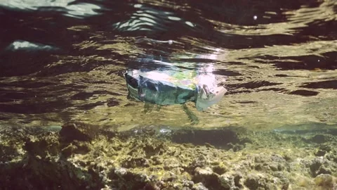 Close-up of old plastic packaging floats on surface of water along rocky shore Stock Footage 251707523