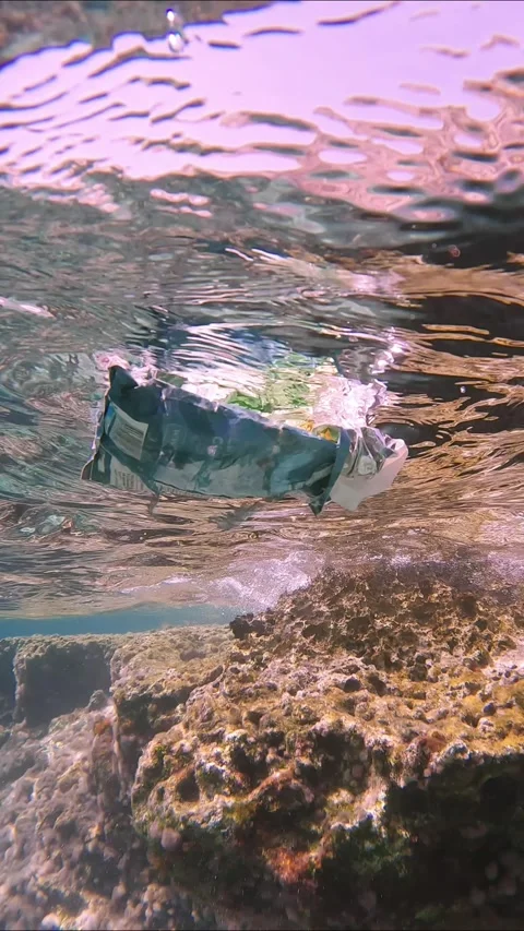 Close-up of old plastic packaging floats on surface of water along rocky shore Vídeos de archivo 256583024