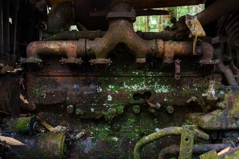 Close-up of an old rusty and mossy car engine Stock Photos