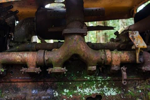 Close-up of an old rusty and mossy car engine Stock Photos