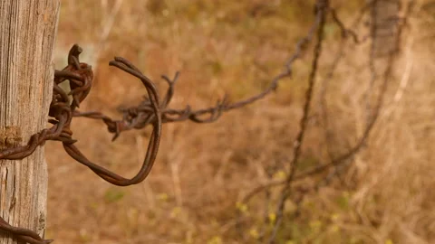Close up of old, rusty barbed-wire on a fence post. Stock Footage 132118223