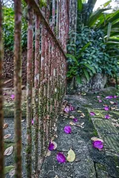 Close-up of an old, rusty iron gate Stock Photos