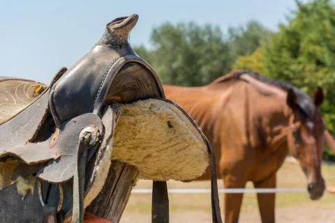Close Up of Old Saddle on Blur Background in a Sunny Day Stock Photos