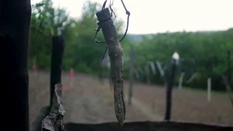 Close up of old scarecrow stick spinning and swaying in the wind 스톡 동영상 197337245