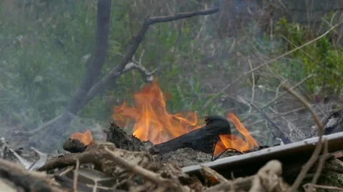 Close-up of an old shoe burning in flames among dry wood and branches Video stock 317963420