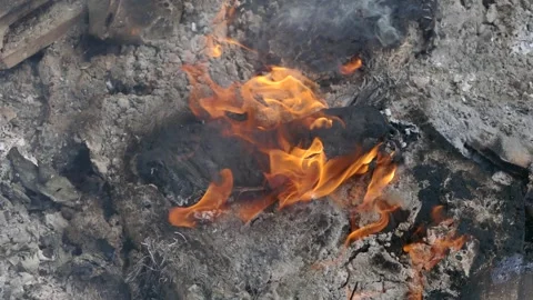 Close-up of an old shoe burning in flames among dry wood and branches Stock-Footage 317964998