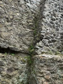 Close-up of an old stone wall corner with moss and small plants Stock Photos
