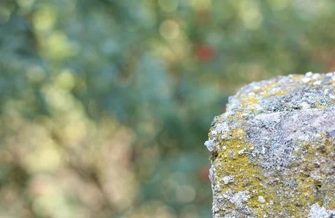 Close-up of an old stone wall covered in moss with a blurred nature background Stock Photos
