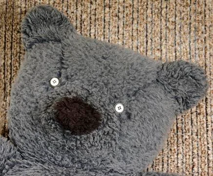 Close-up of old  teddy bear face Foto stock