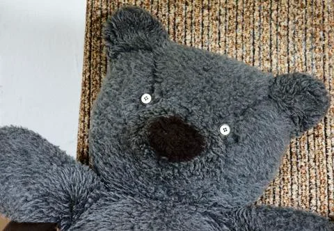 Close-up of old  teddy bear face, eyes of a button Stock Photos