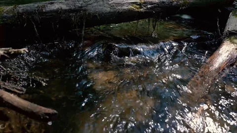 Close up Old Tree logs In The River Stock Footage 110304094