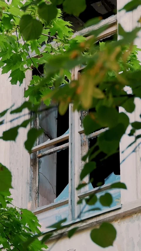 Close-up. an old, vintage, dilapidated building, with broken glass in the Stock Footage 320610666
