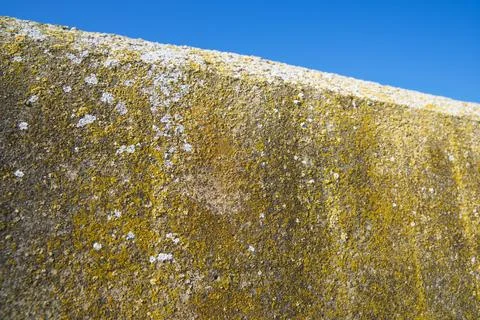 Close-up of an old wall Фото