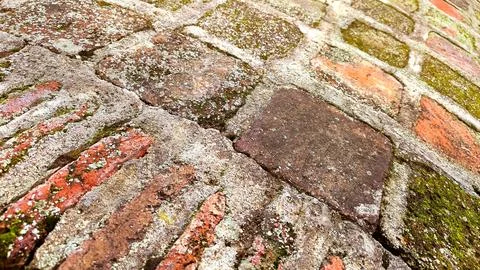 Close up of an old weathered brick wall with moss. Stock Photos