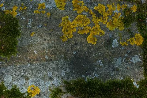 Close up of old weathered stone with moss and lichen. Concept of natural Stock Photos