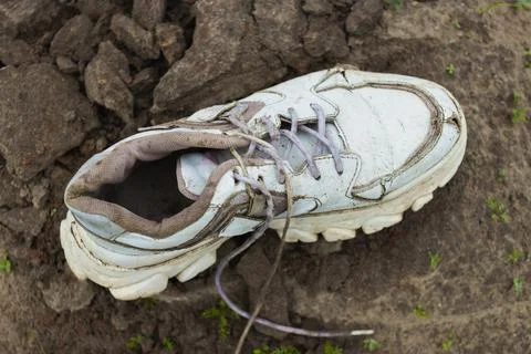 Close-up of an old white sneaker on a background of dirt. View from above. Photos