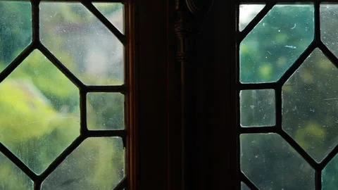 Close up on an old window Stock Footage 231491180