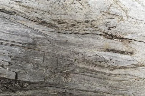 Close-up of old wood as background Stock Photos