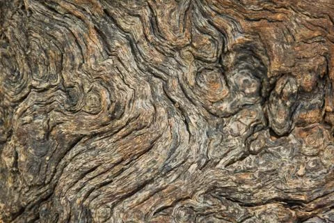 Close up of old wood texture background  Stock Photos
