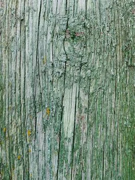 Close up old wooden plank wall rough texture for design Stock Photos