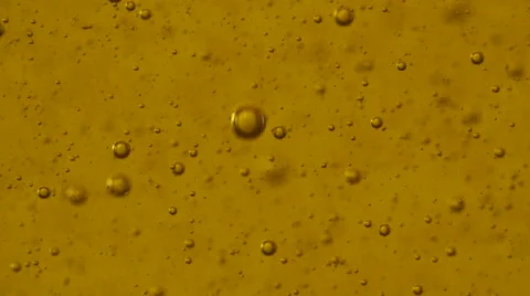 Close up olive oil Stock Footage 63033903