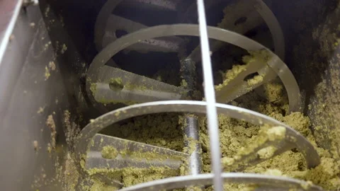 Close up olive oil grind process production in factory  4K 60fps Stock Footage 219614193
