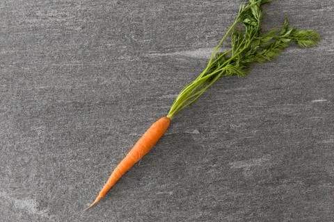 Close up of one carrot on table Stock Photos