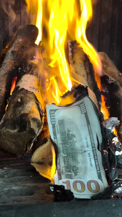 Close Up of One Hundred Dollar Bills Burning - Economic Loss Concept Vidéo 333263286