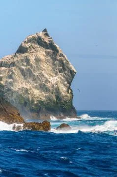 Close-up of one of the Shag Rocks Stock Photos