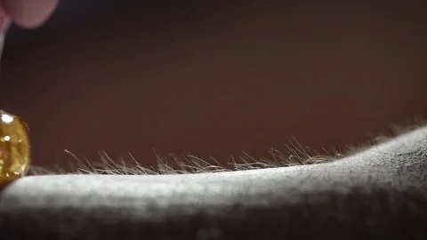 Close-up of one of the stages of the procedure for removing hair on the legs Stock Footage 118705581