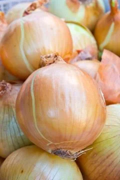 Close up of onion in market Stock Photos