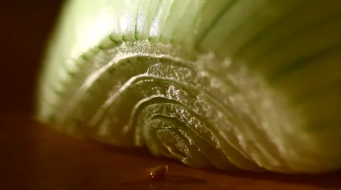Close Up of Onion Splice Stock Footage 63019559