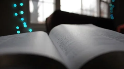 Close-up of an open book Stock Footage 44448166