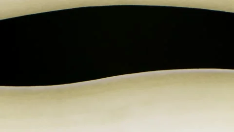 Close up of an open book with a gap between two pages. Stock footage. Camera 스톡 동영상 133876901