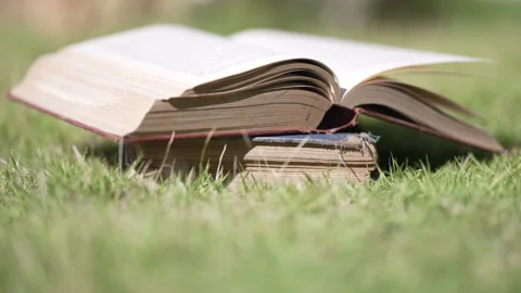 Close up Open book in the grass on the field in nature summer season Video stock 156041640