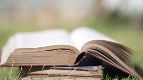 Close up Open book in the grass on the field in nature summer season Video stock 156041708
