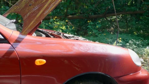 Close-up of an open hood of a broken red car standing in the middle of a forest Stock Footage 114895671