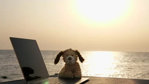 Close-up, an open laptop and a toy dog lie on the table in the sunlight, against Stock Footage 136893680