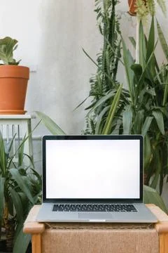 Close-up of an open laptop computer with blank screen surrounded by assorted 스톡 사진