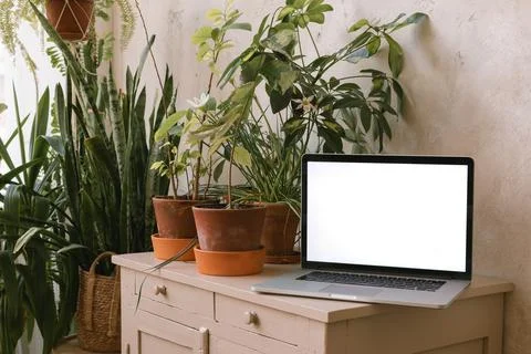 Close-up of an open laptop computer with blank screen on a sideboard with 스톡 사진
