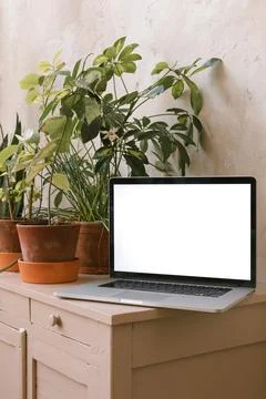Close-up of an open laptop computer with blank screen on a sideboard with 스톡 사진