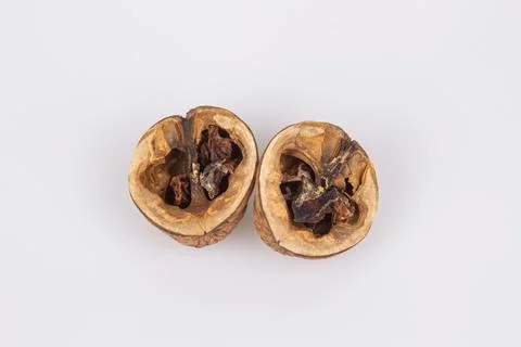Close-up of a open walnut with rotten nut kernel. View of two walnuts isola.. Stock Photos
