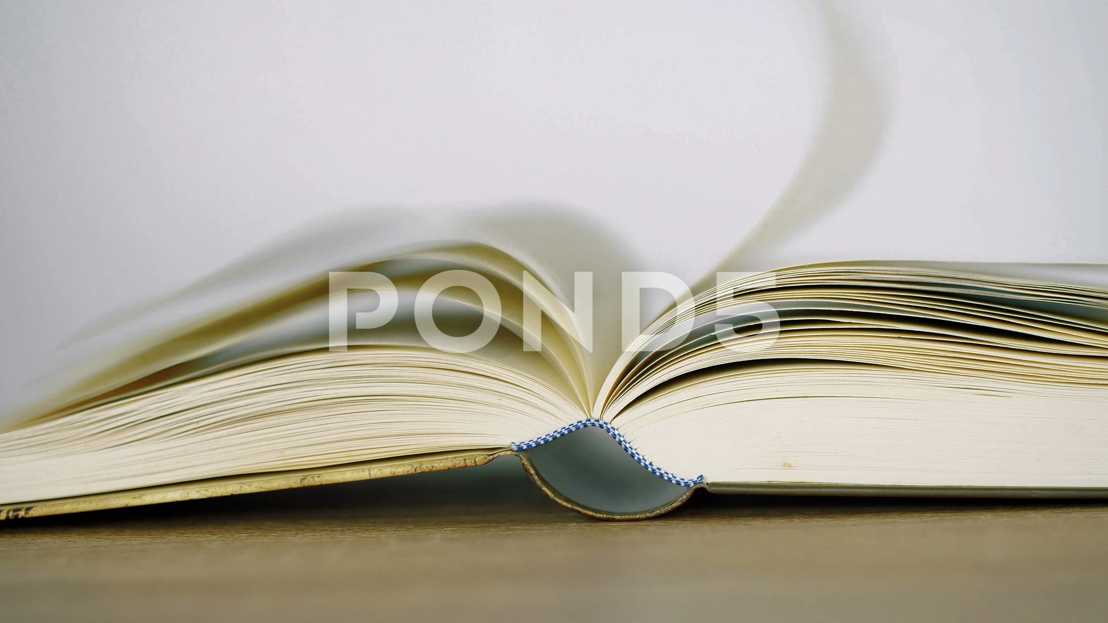 hand opening book on white background, Stock Video