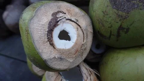 Close Up Opened Green Coconut Stock Photos