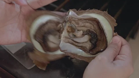 Close-up of an Opened Pearl Oyster Shell Revealing a Natural Pearl Vídeo Stock 334762430