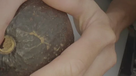 Close up opening up the avocado after cutting Stock Footage 336658120