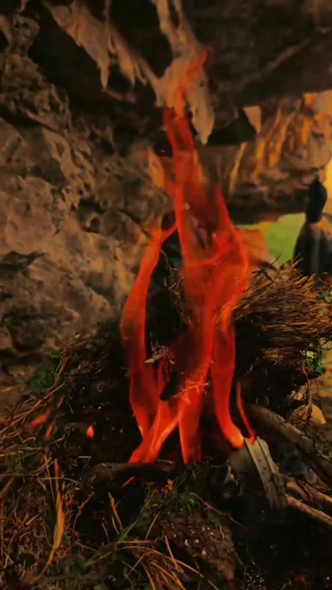 Close up of an orange fire burning dry grass near a rock cave Video stock 343698244