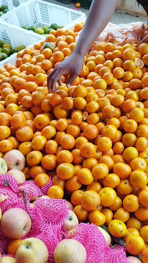 Close up orange Stock Footage 310317151