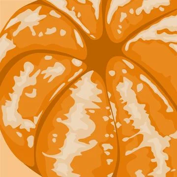A close up of an orange fruit on a yellow background. Texture of fruit 库存插图